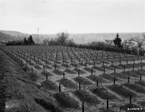 View of the cemetery at the Hadamar Institute in Hesse, Germany, where victims of the Nazi euthanasia program were buried in mass graves soon after the liberation on April 15, 1945. Photo credit: USHMM #73719