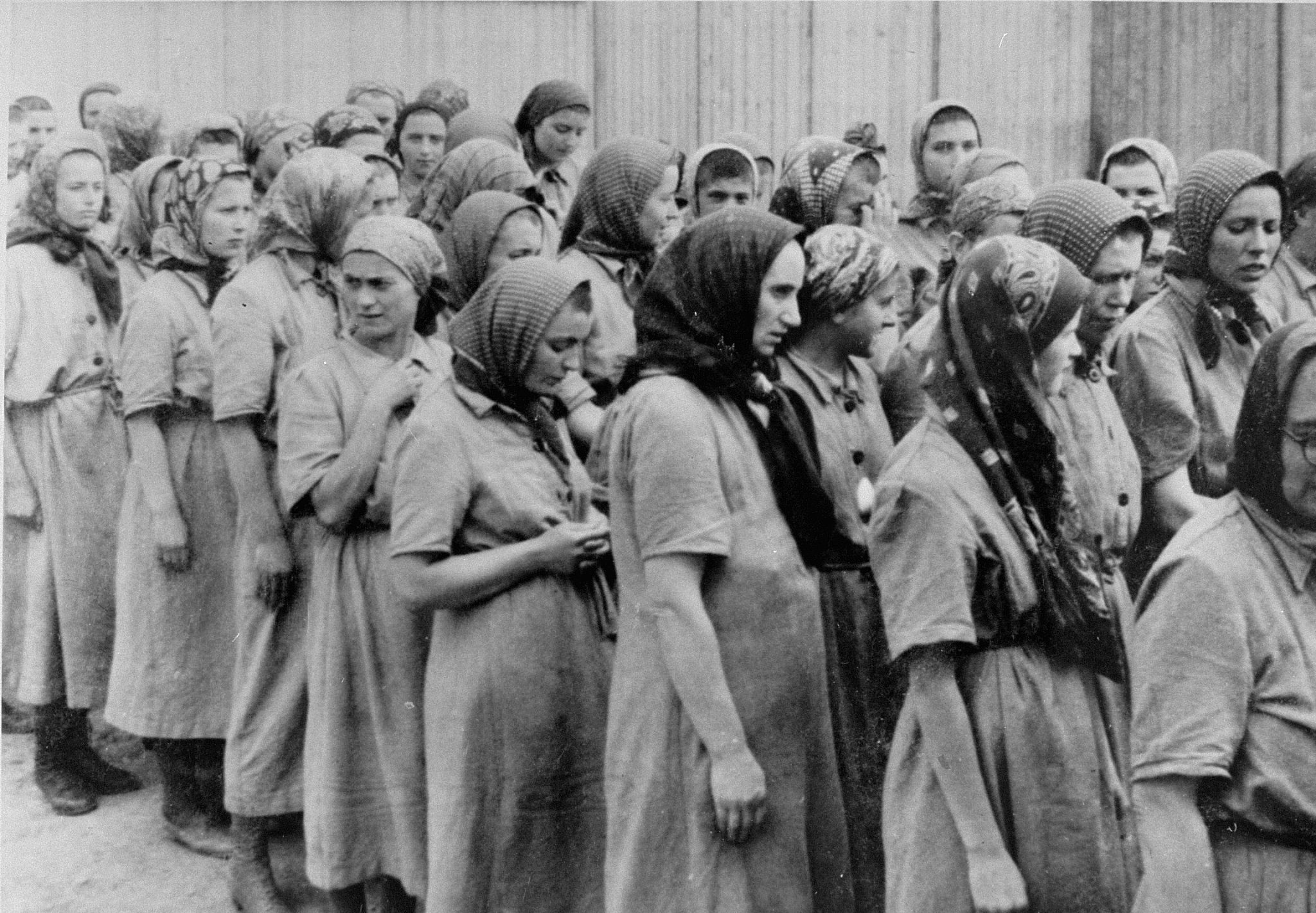 Part 4b Womens Camps And Brothels The Concentration Camps